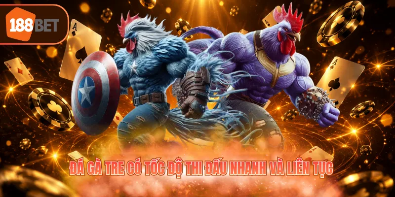 Đá gà tre có tốc độ thi đấu nhanh và liên tục